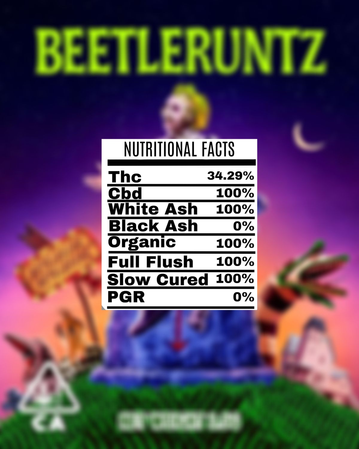 processed_BEETLERUNTZ.jpg