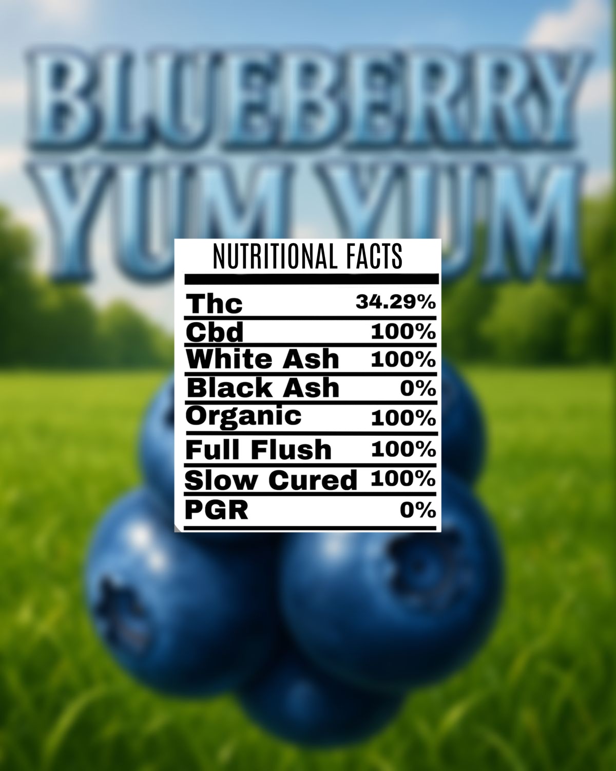processed_BLUEBERRY_YUM_YUM.jpg