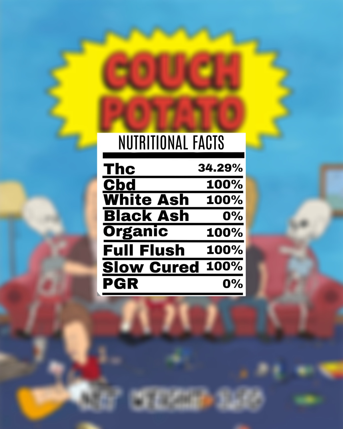 processed_COUCH_POTATO.png