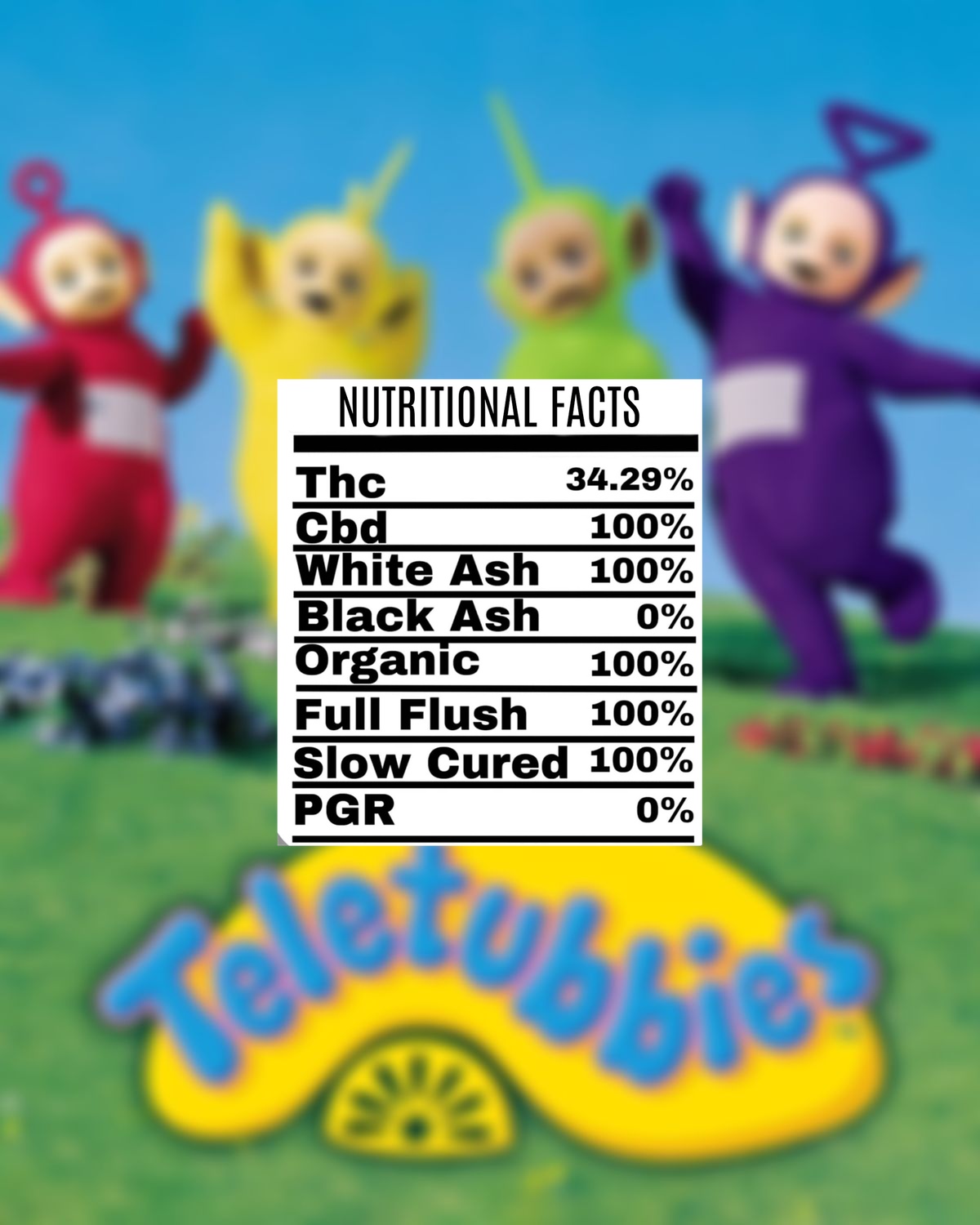 processed_TELITUBBIES.jpg