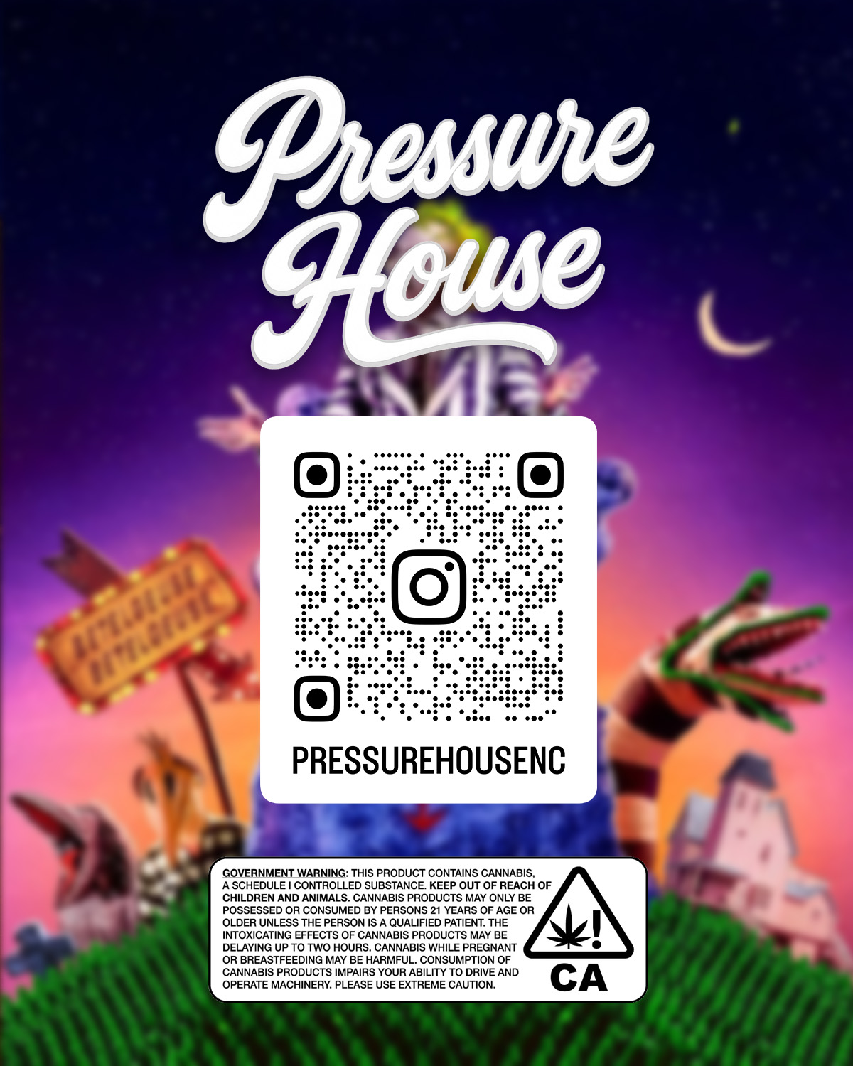 pressure house back.jpg